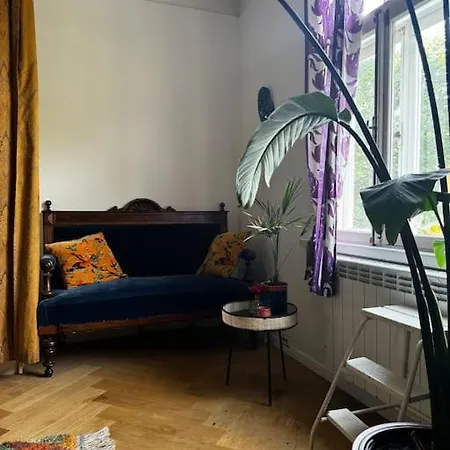 Cozy In