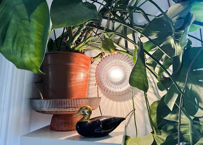 Cozy In * Таллин